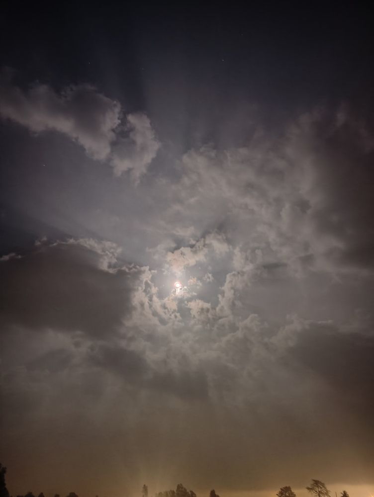 Photograph by Neel Bonna