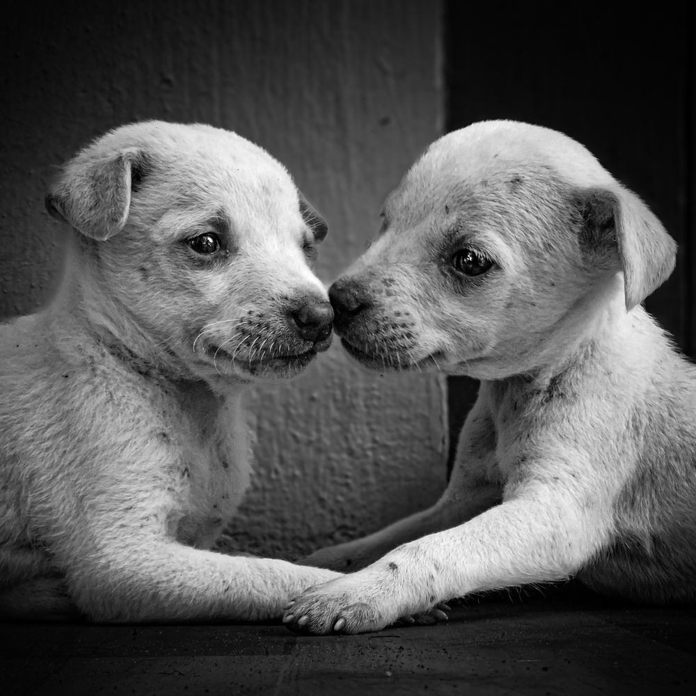 Photograph by Nithin Ann Joe