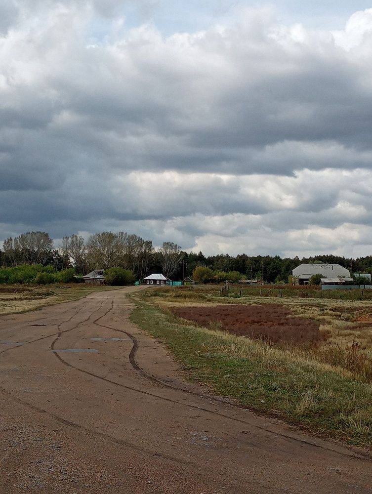 После дождя