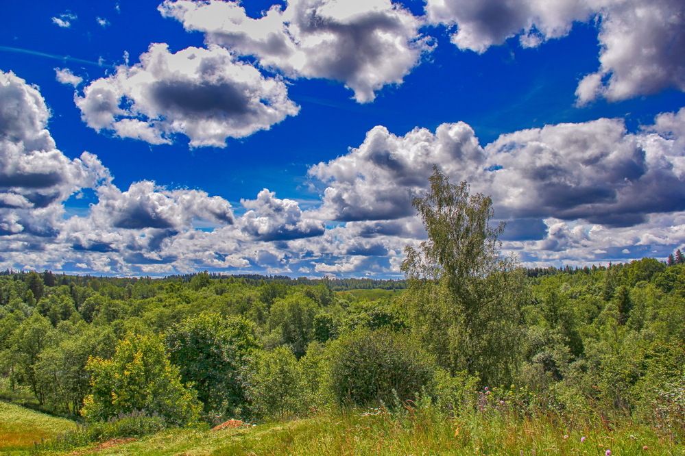 Photograph by KOREYSHA ILYA