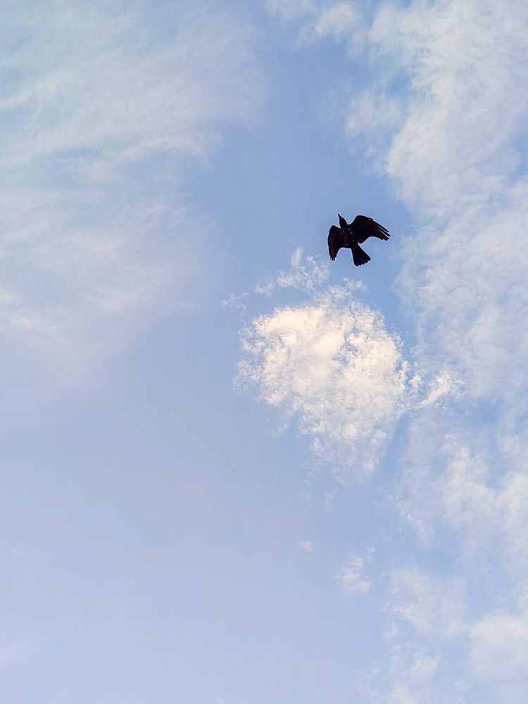 Photograph by Никита Нечаев