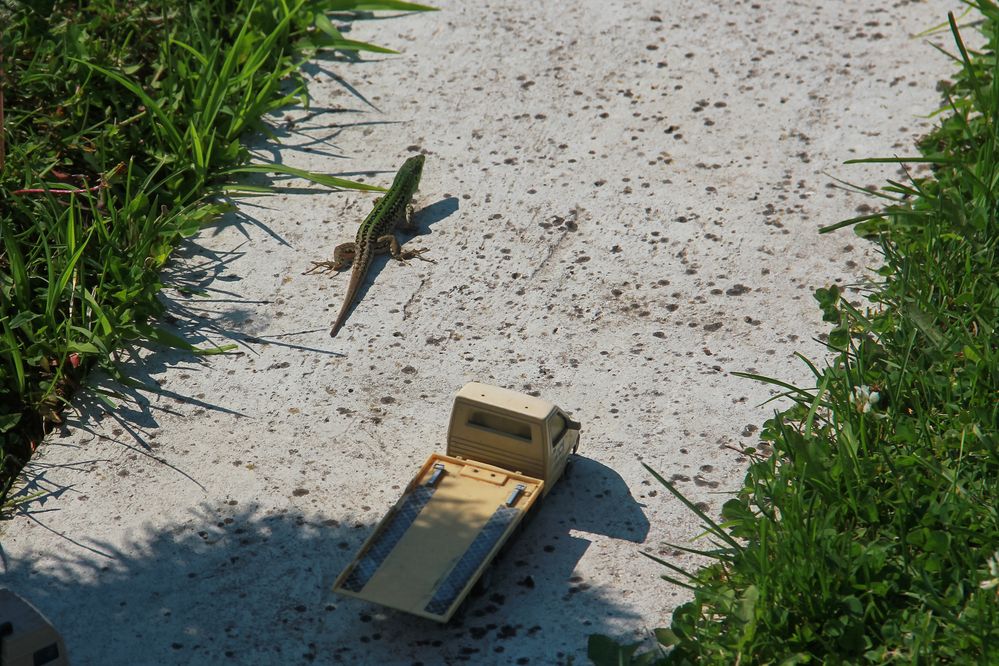 Photograph by Светлана Карнаух