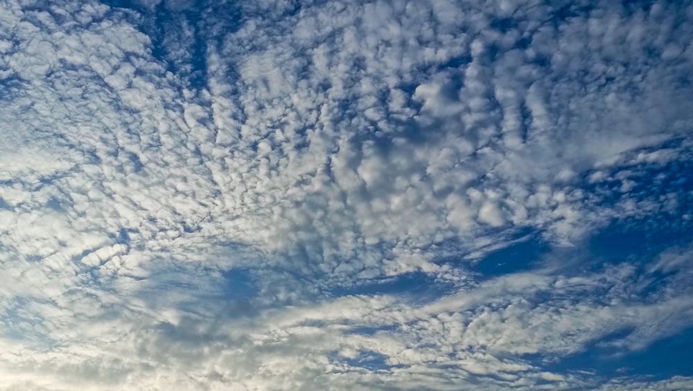 Photograph by Максим Торохов