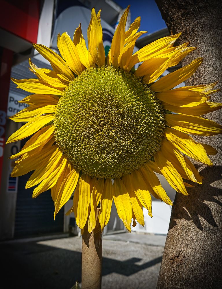 Photograph by HECTOR ANTONIO RAUCHS