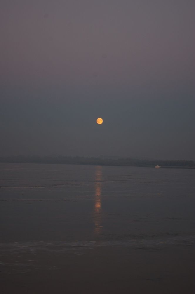 Photograph by Елена Алешкевич