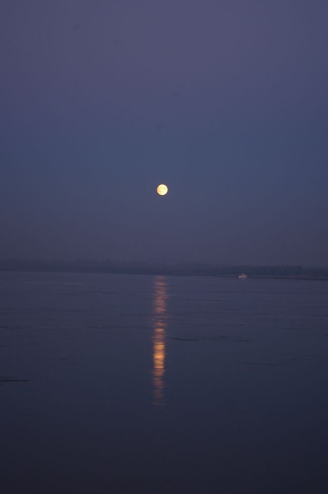 Photograph by Елена Алешкевич