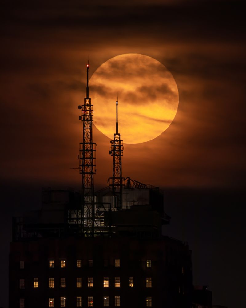 Photograph by Achintya Adhikari