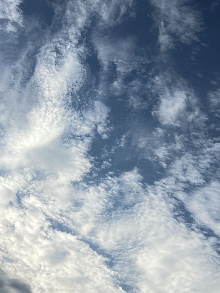 Photograph by Eugenia Schmidt