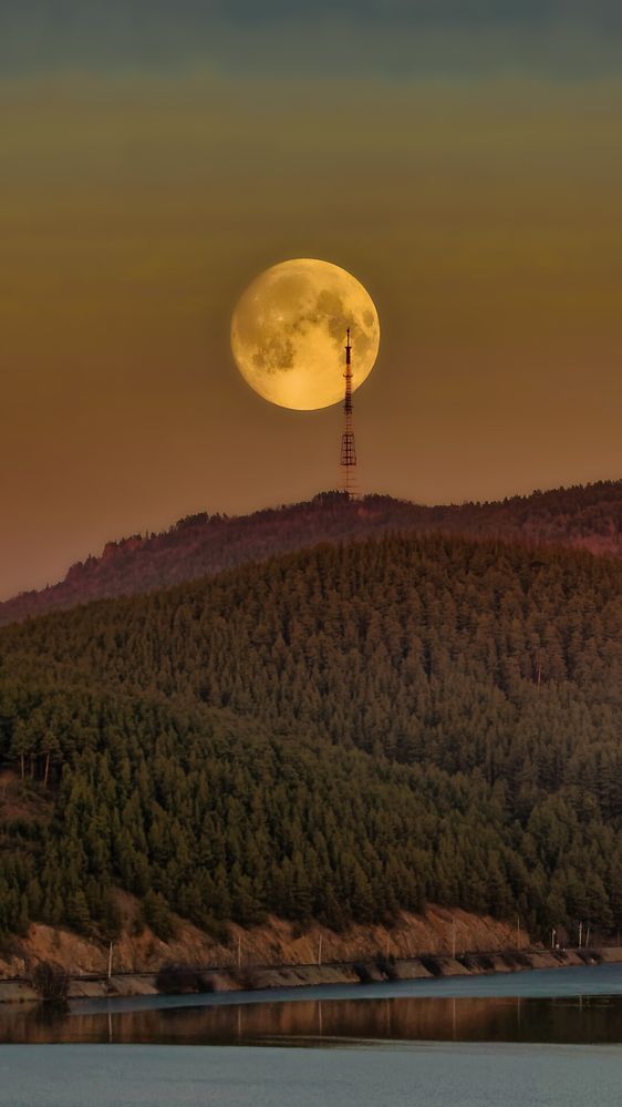 Photograph by Стас Неклюдов