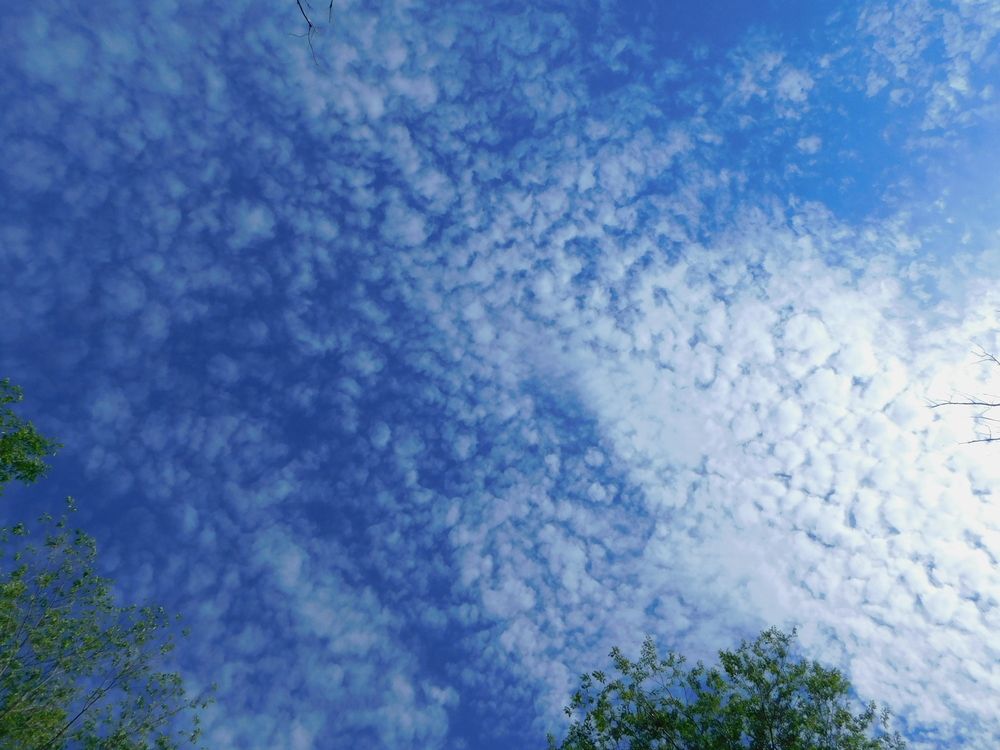 Photograph by Сергей Чеченов