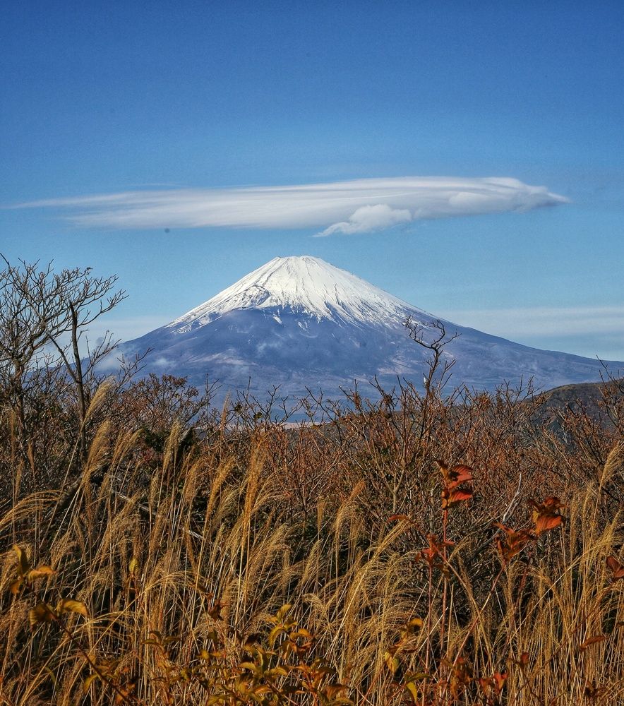 Photograph by Анастасия Петухова