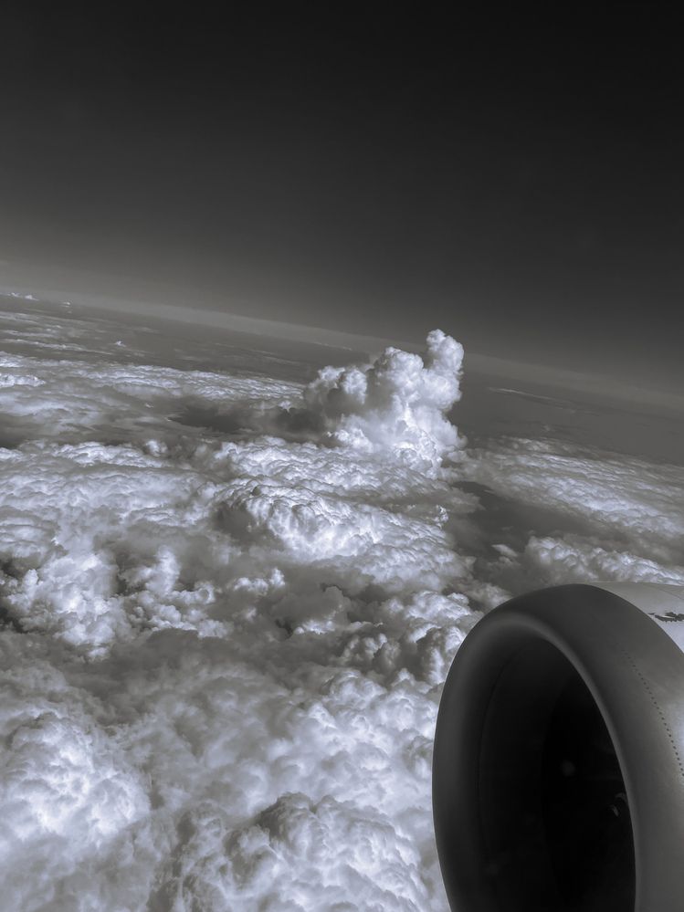 Photograph by Anzhelika Koksharova