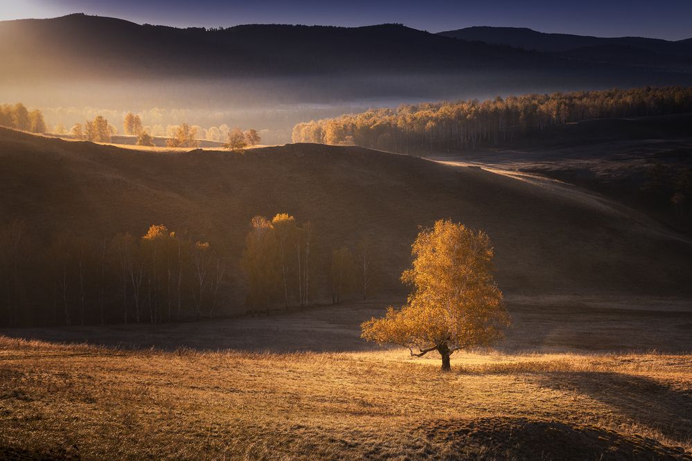 Photograph by Татьяна Бирюкова