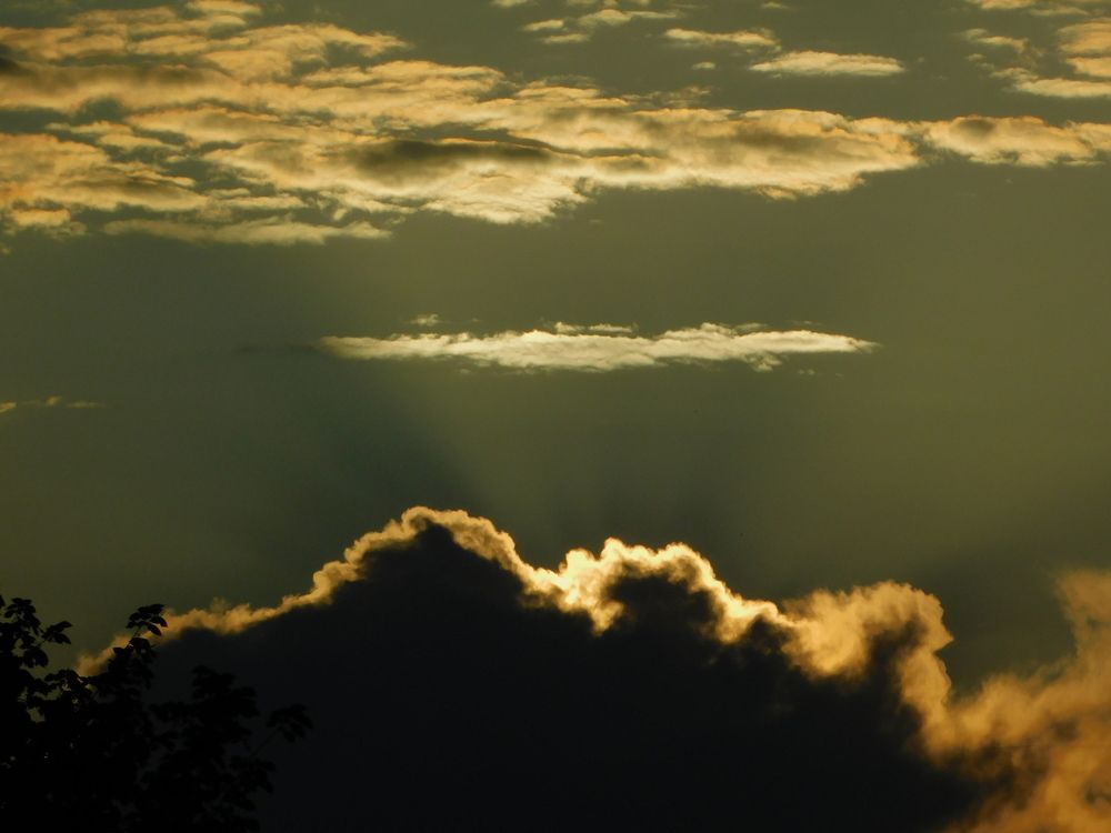 Photograph by Сергей Чеченов