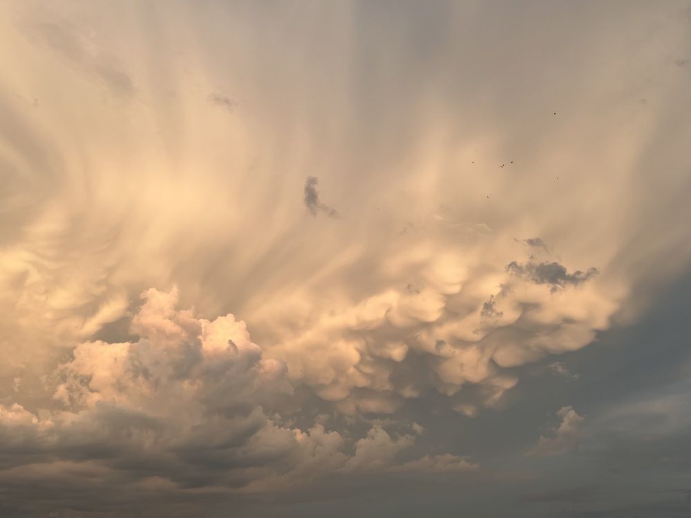 Photograph by Екатерина Курская