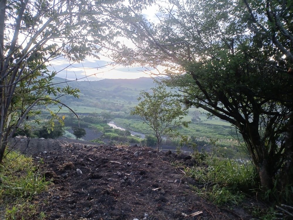 Photograph by Tatiana Callejas