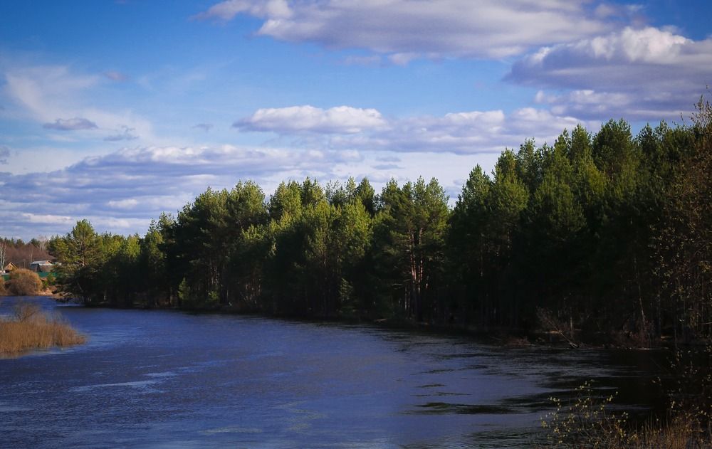 Photograph by Ольга Куприянова