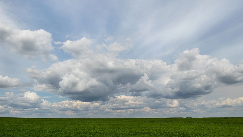 Photograph by Елена Коврижных