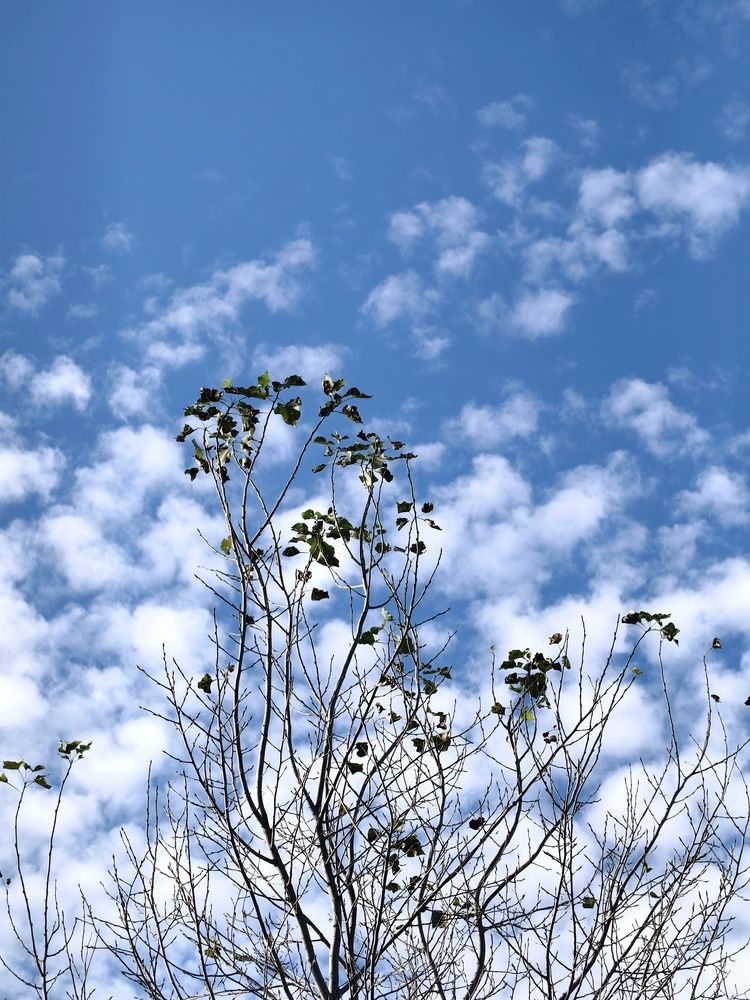 Photograph by Гульназ Шайхисламова