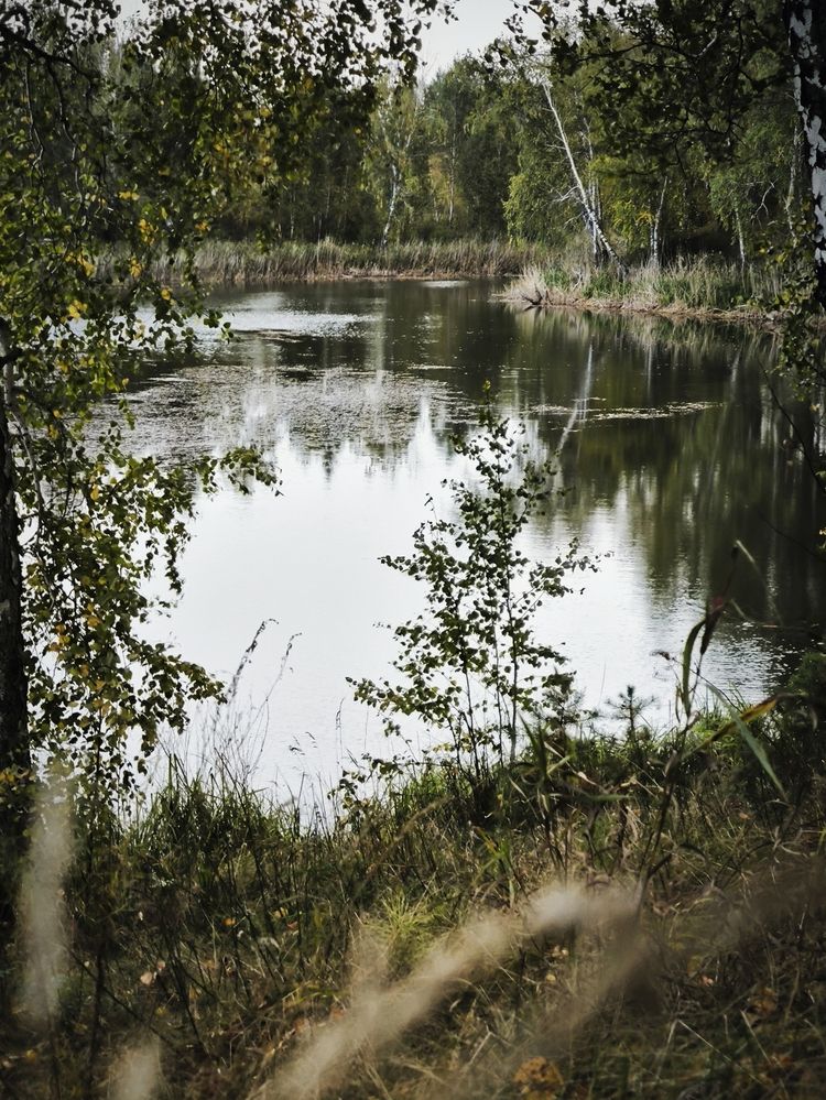 Photograph by Полина