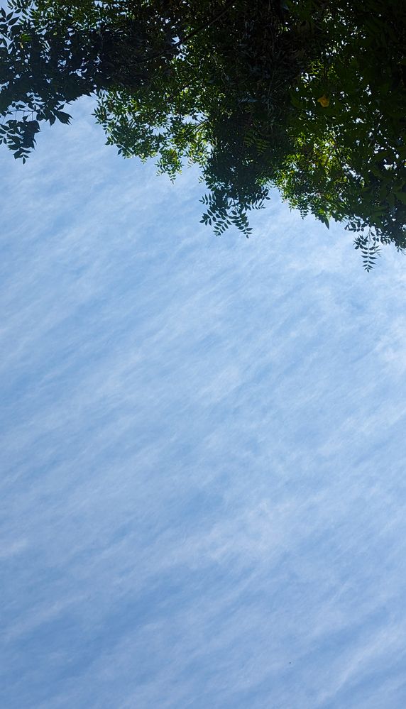 Photograph by SARAVANA MANICKAM