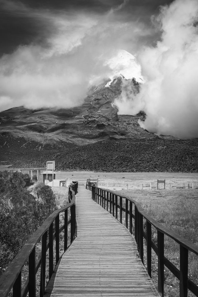 Photograph by Susie Castellano