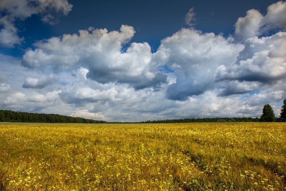 Photograph by Пылаев Александр