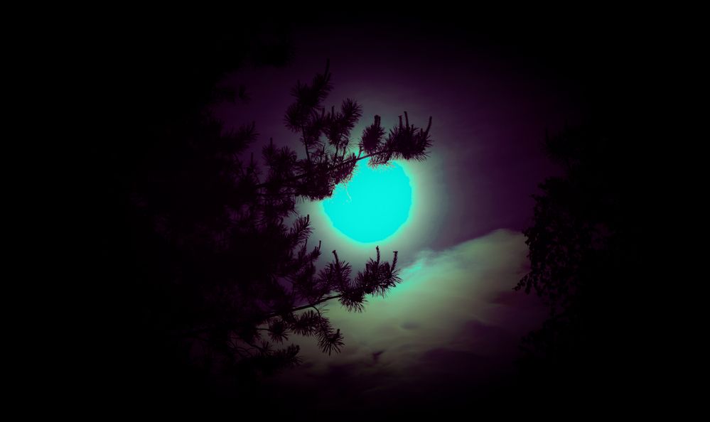 Photograph by Ольга Куприянова