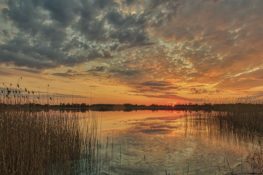 Photograph by Janis Serdienis