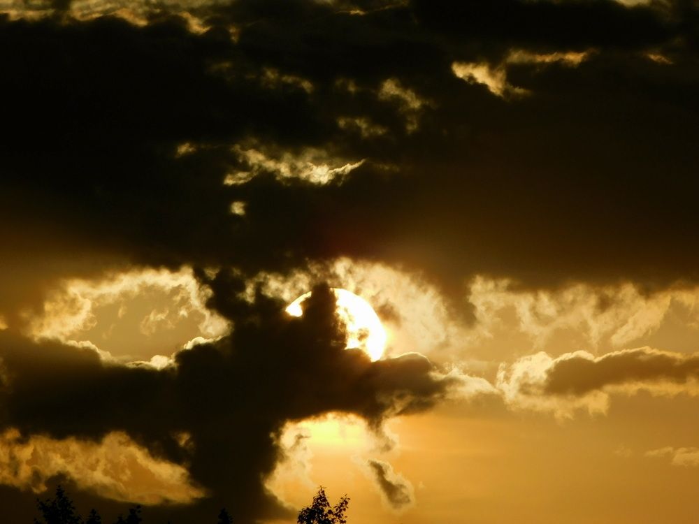 Photograph by Сергей Чеченов