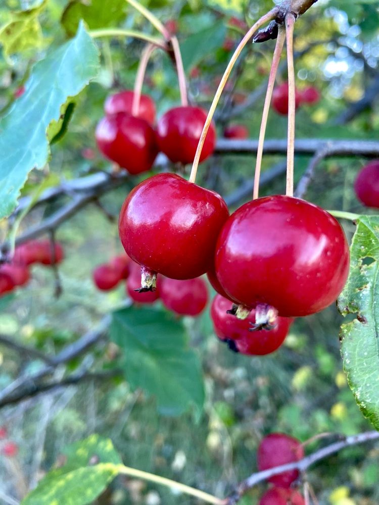 Photograph by Наталья Душакова