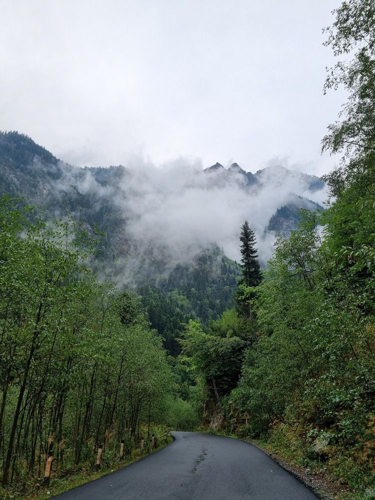 Photo #12558126
