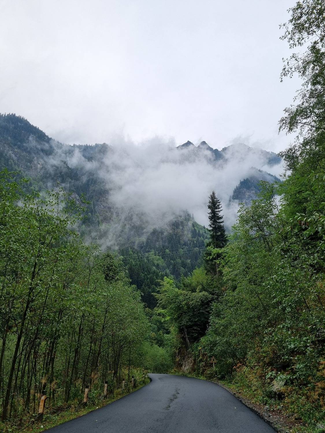 Photo #12558126