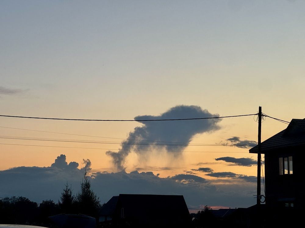 Сибирский дельфин