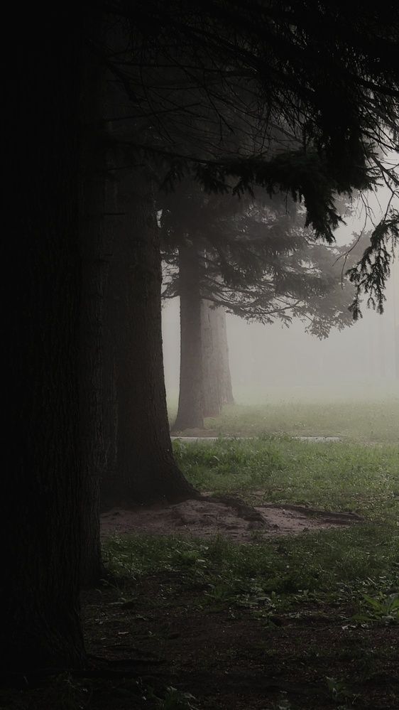 Photograph by Евгения Владимировна