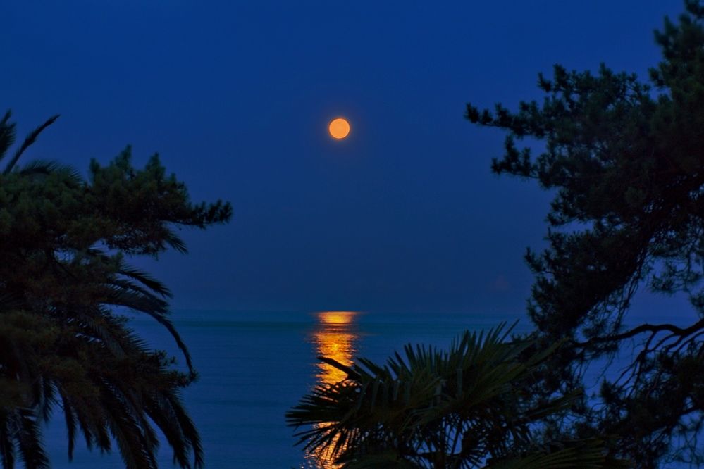 Photograph by Татьяна Бравая