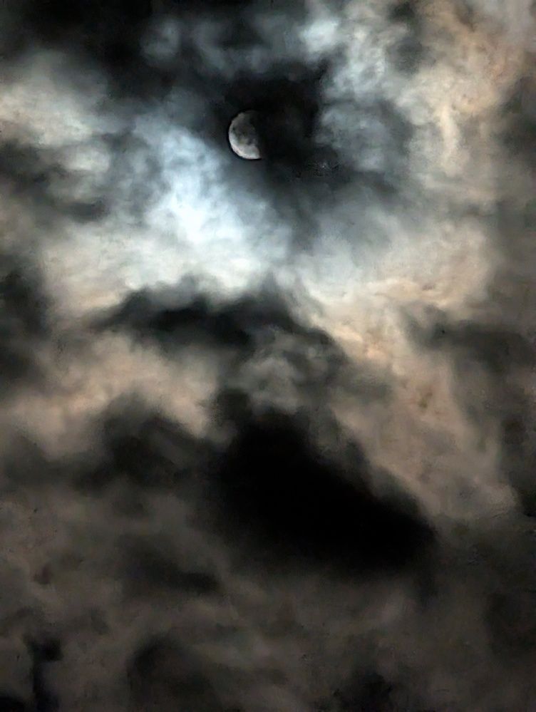 Photograph by Наталья Горовых