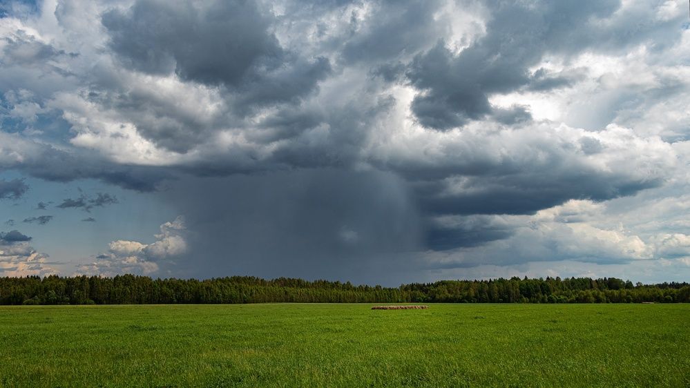 Photograph by Елена Коврижных