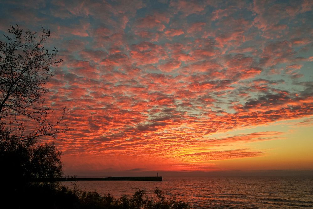 Photo #12558233
