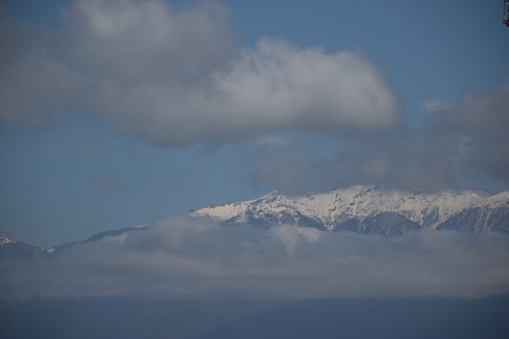 Photograph by Ксения Харлапина