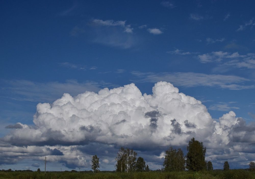 Photograph by Aleksandra Bistrova