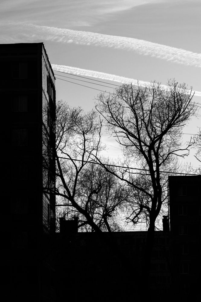 Photograph by Дмитрий Корягин