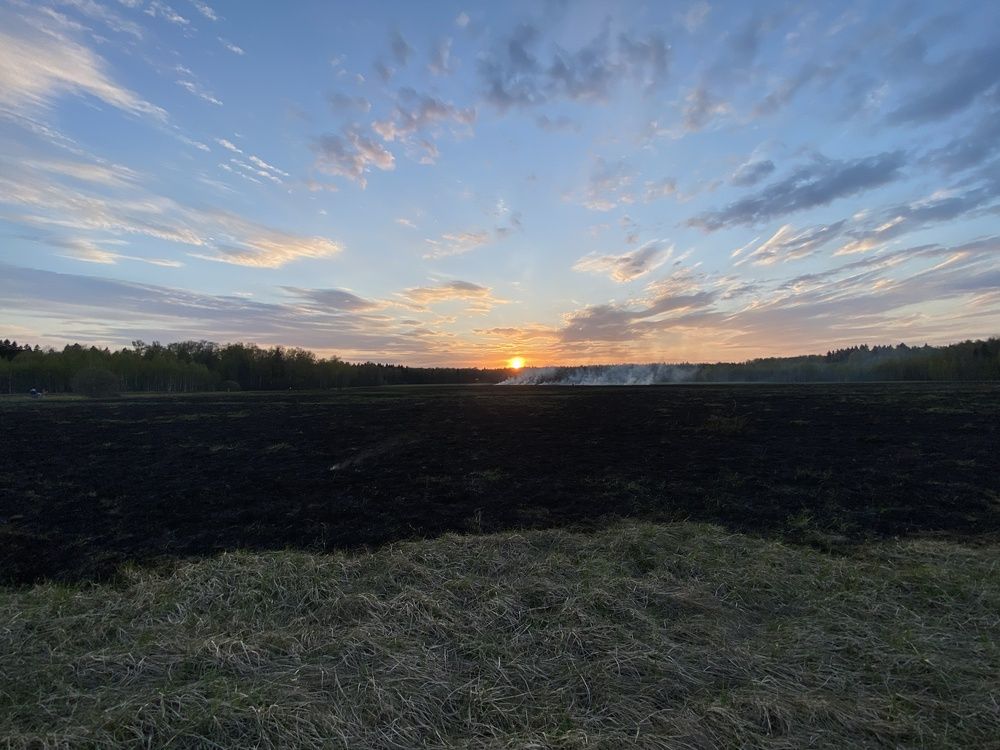 Photograph by Olga Bokareva