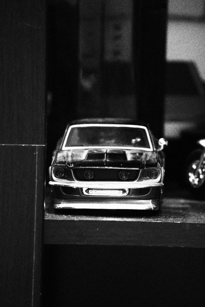 Photograph by DH33RAJ RAJ3SH