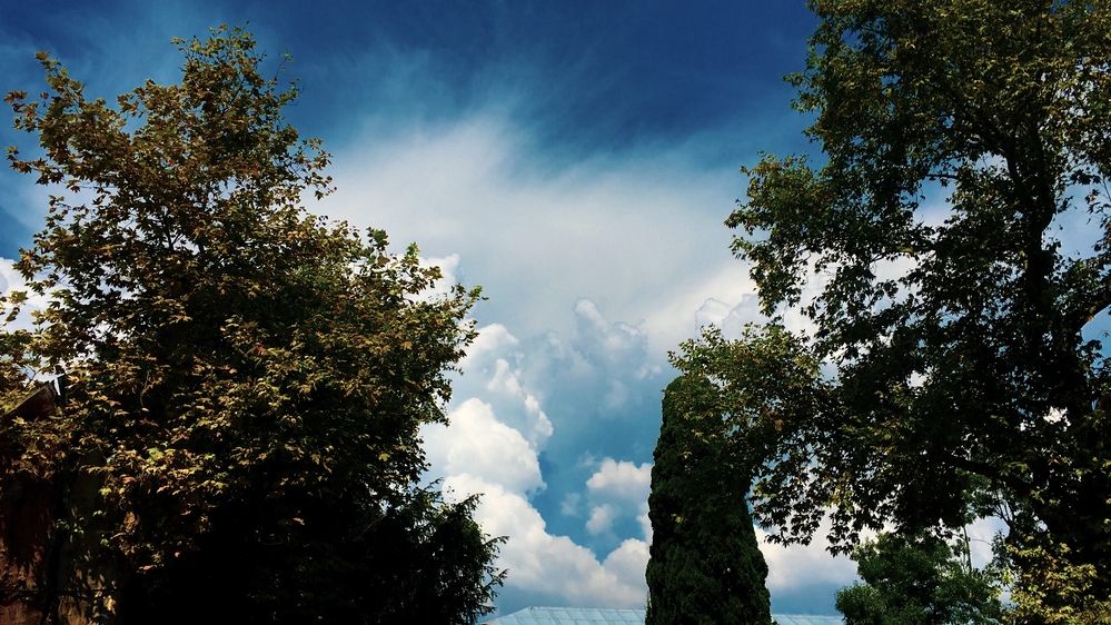 Photograph by Sara Ali