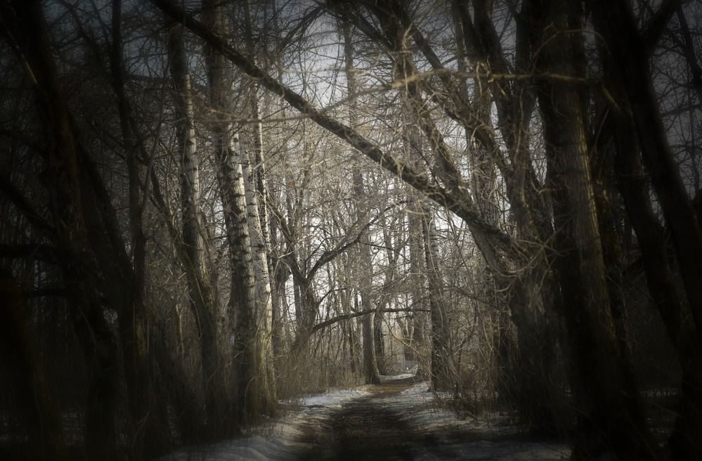 Photograph by Ольга Куприянова