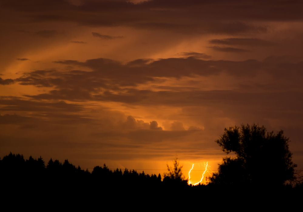 Фотография автора Николай Нестеренко