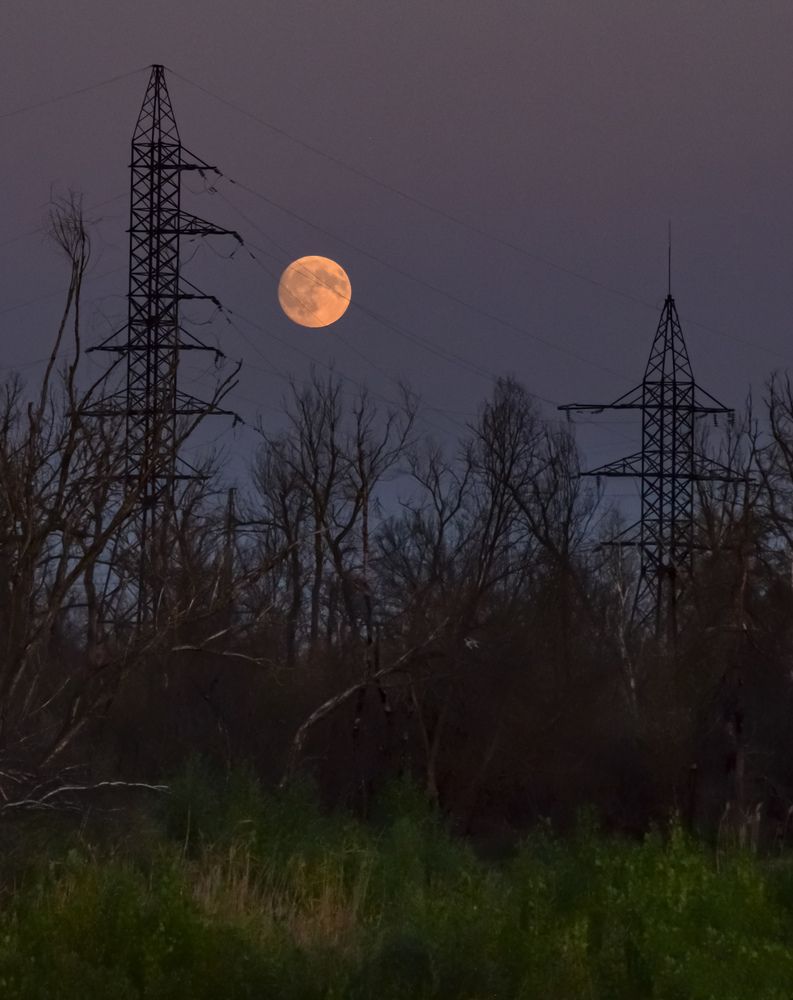 Photograph by Валерий Наумов