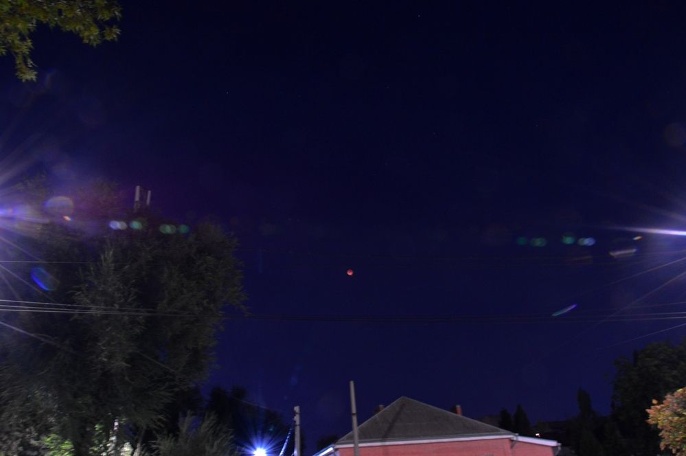 Photograph by Ольга Шевцова