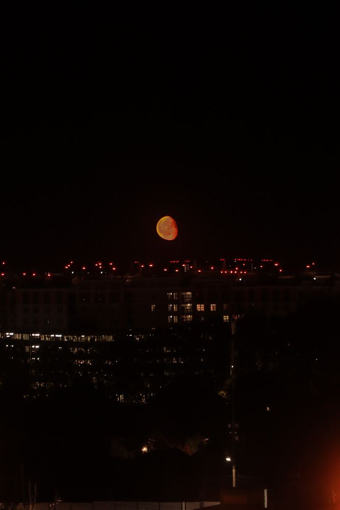 Photograph by Валерия Лунина